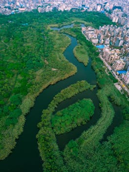 Scenic aerial photo of Yamuna River winding through lush greenery and urban cityscape in New Delhi, India.