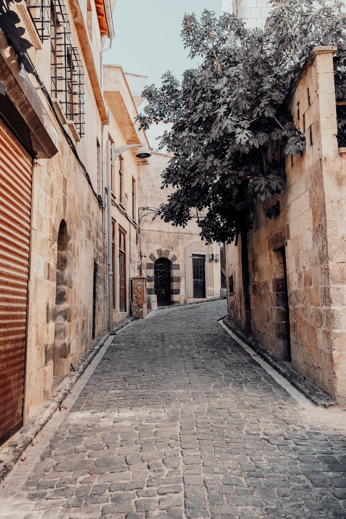Nicosia Old Town & The Green Line