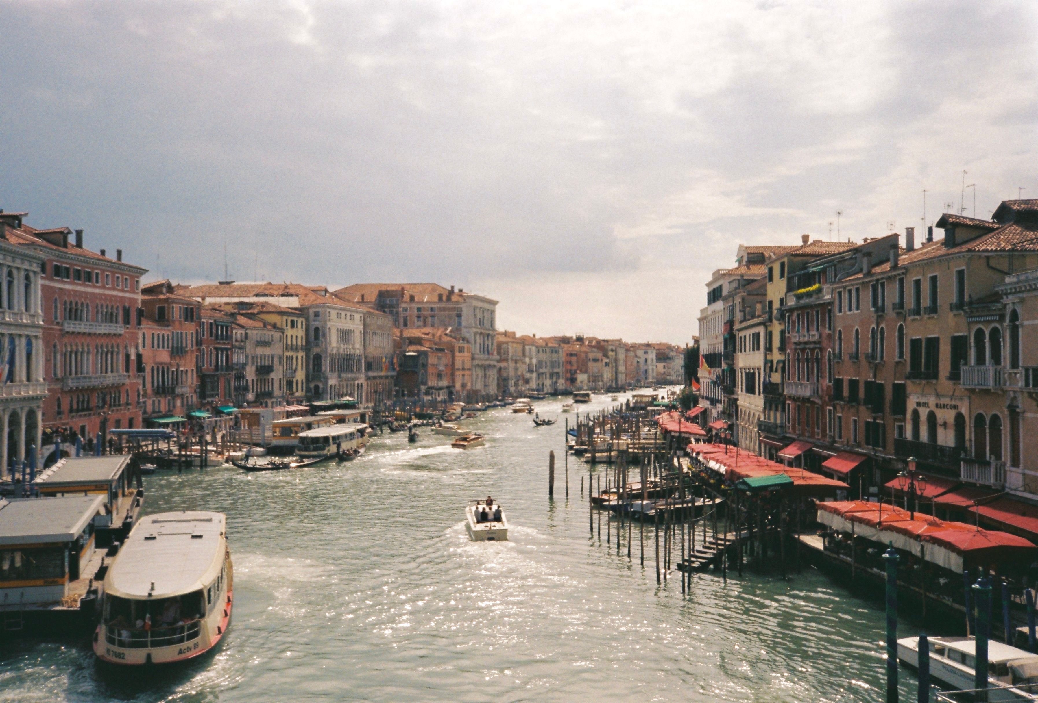 venice film festival