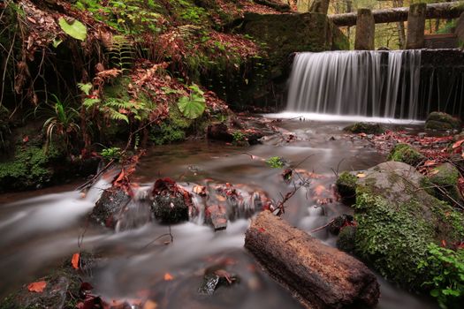 A tranquil autumn scene with a flowing waterfall in a lush forest.
