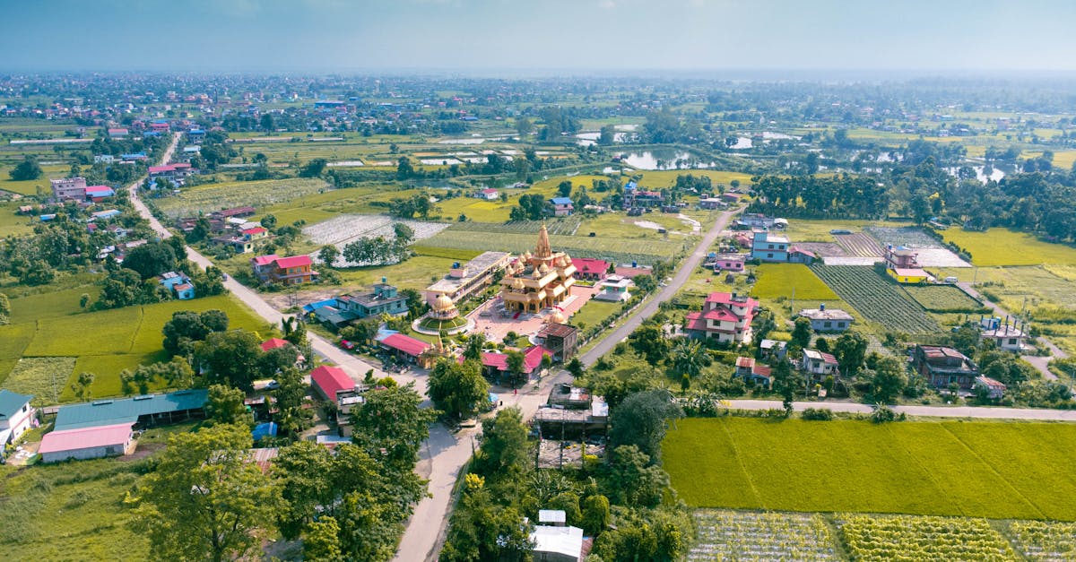 Aerial view of a rural town with a golden temple, surrounded by lush green fields.