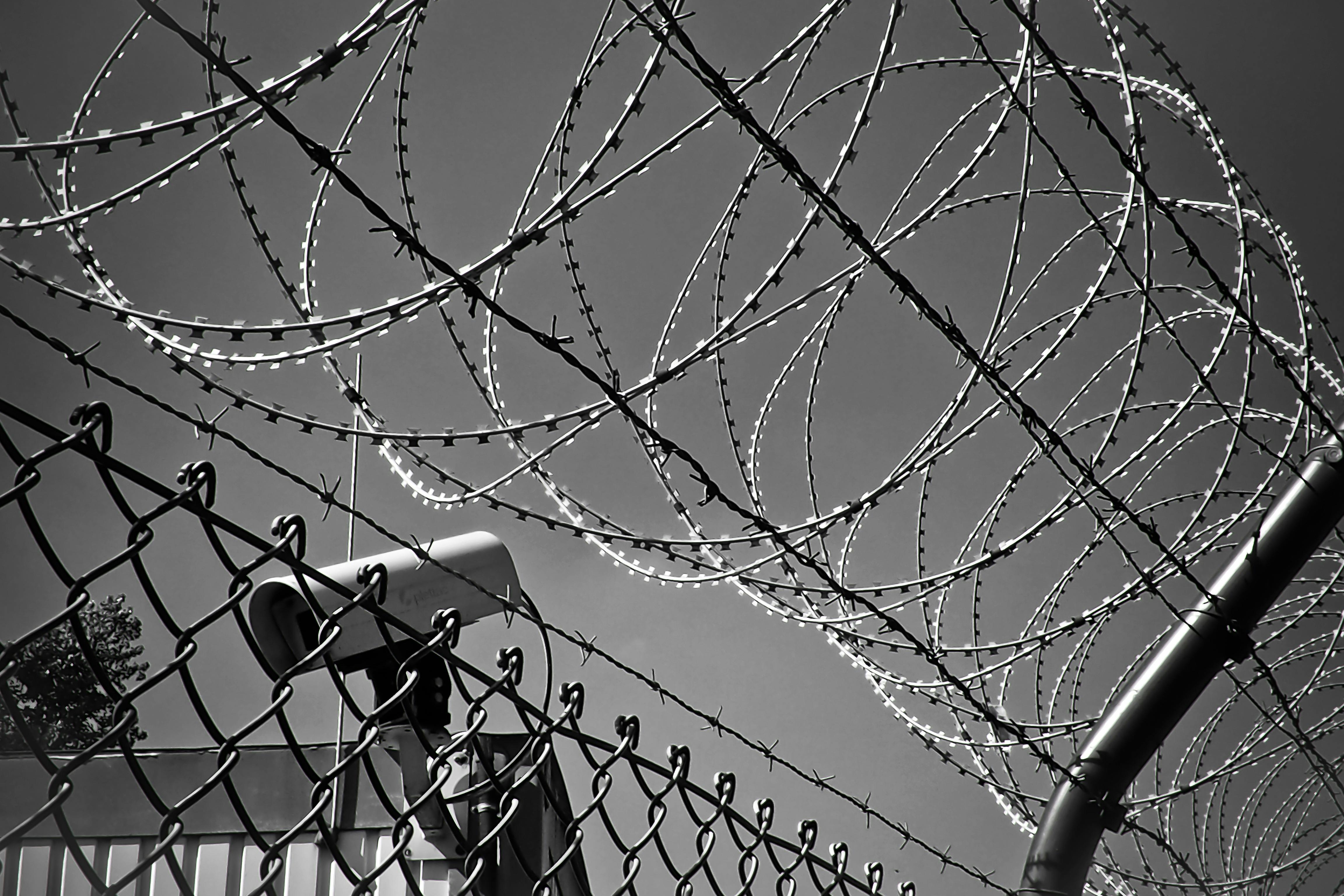 grayscale photo of barbed wire