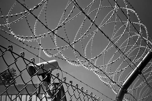Foto Grayscale Dari Barbed Wire