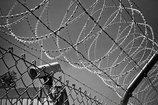 Grayscale Photo of Barbed Wire