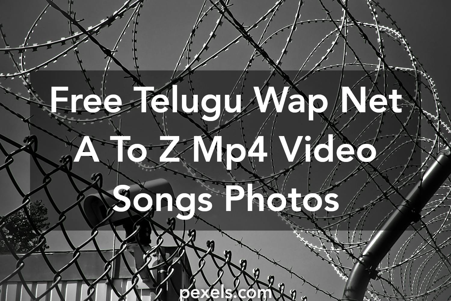 telugu wap net mp4 video songs