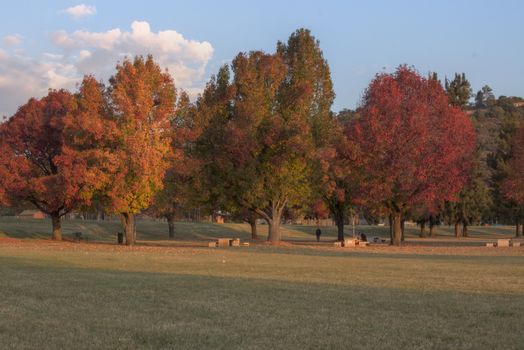 Colorful fall foliage in a peaceful park scene with vibrant trees and clear skies.