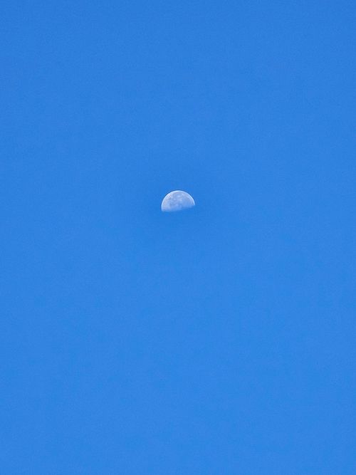 Free moon Stock Photo