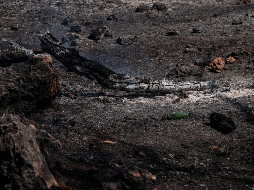 Immagine di copertina: Italia tra fiamme e siccità: emergenza incendi da Nord a Sud, Piemonte dichiara catastrofe