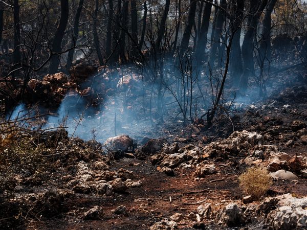 Wildfire breaks out in Cardamaina area on Kos