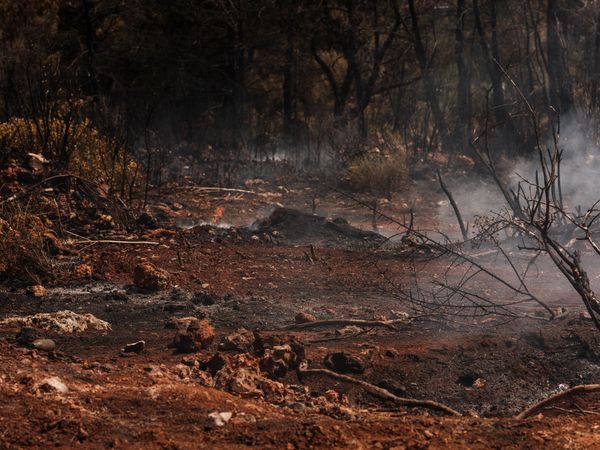 Forest Fire Breaks Out in Thesprotia, Greece