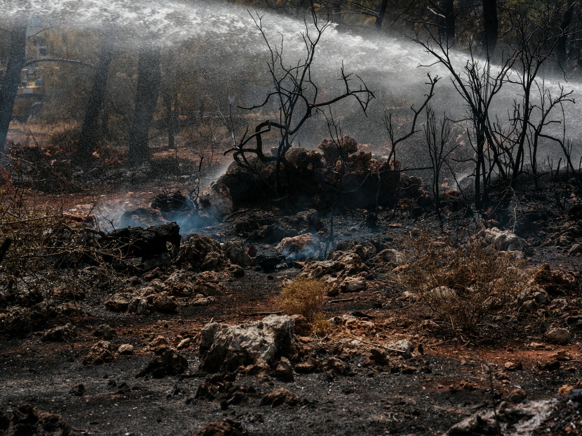 Forest fire and environmental disaster