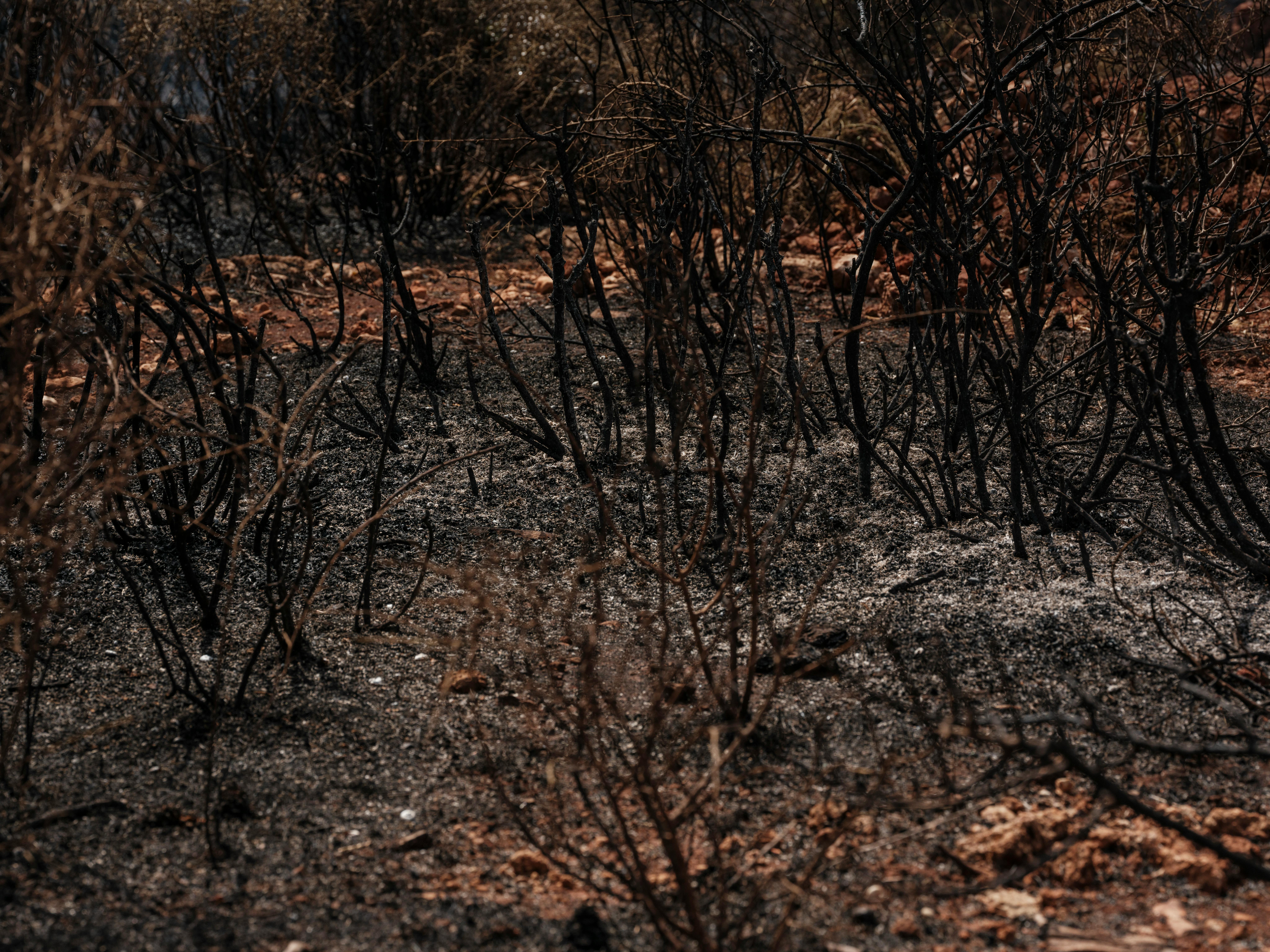 Family of Boulder fire attack suspect released from ICE custody following judge’s order - The Denver Post — Photo by Engin Ak