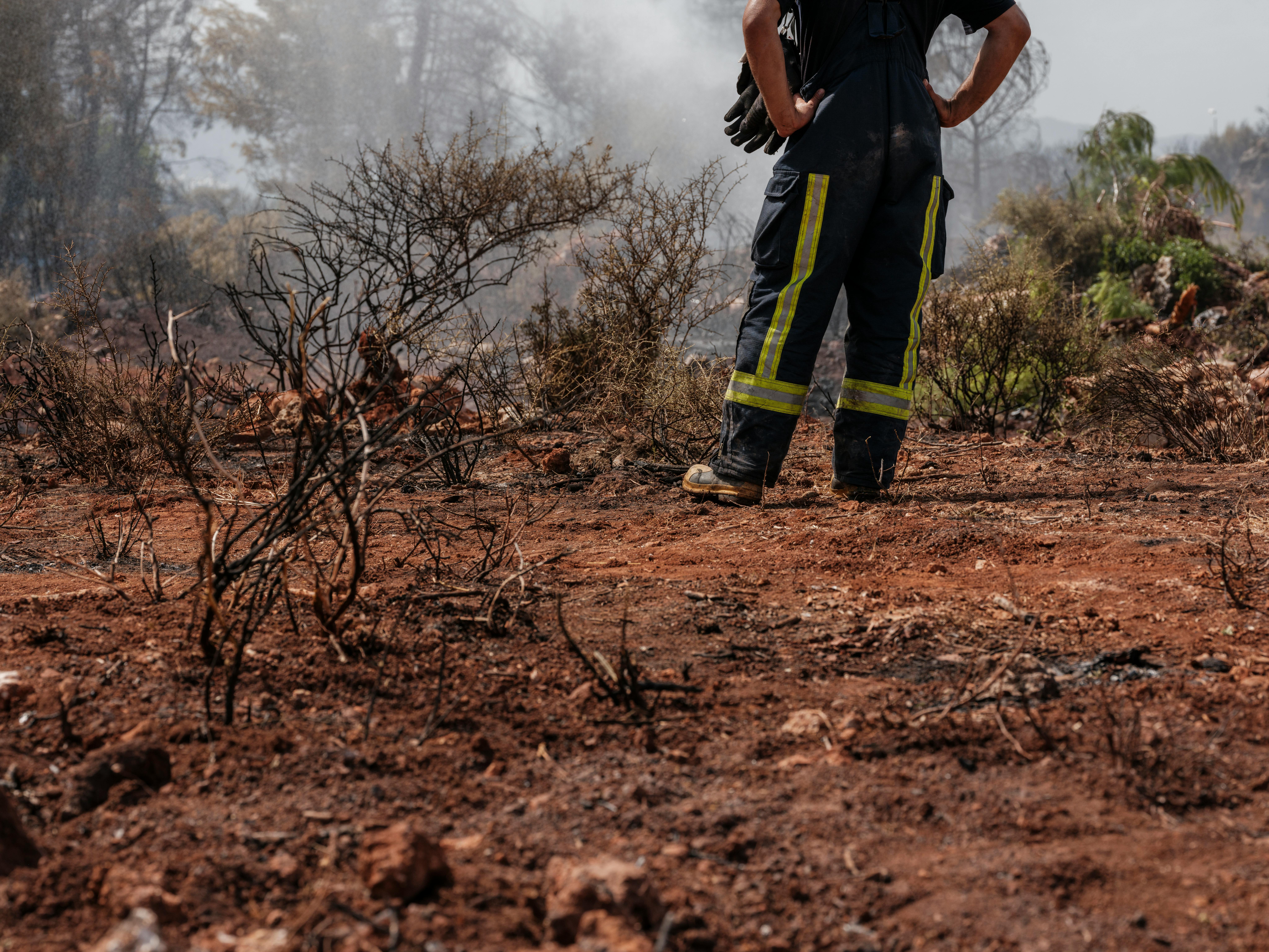 climate resilience ecosystem restoration — Photo by Engin Akyurt on Pexels