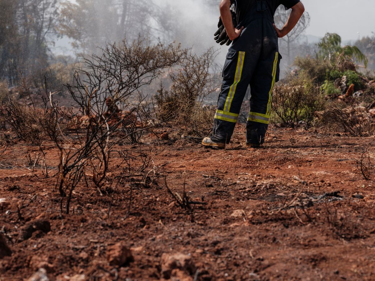Incendio forestal en zona boscosa — preparación para evacuación ante incendio