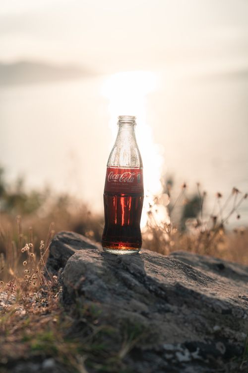 Free Coca-Cola bottle on a rock by the sunlit sea during sunset, capturing tranquil vibes. Stock Photo