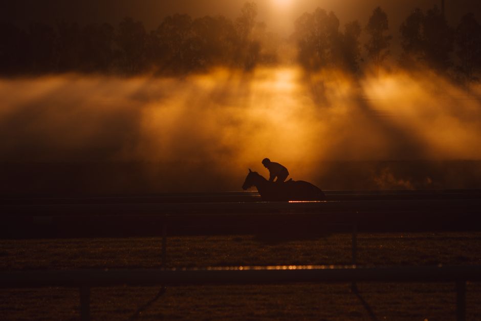 Dramatic silhouette of a horse and jockey against a golden, foggy sunrise in Scone, Australia.
