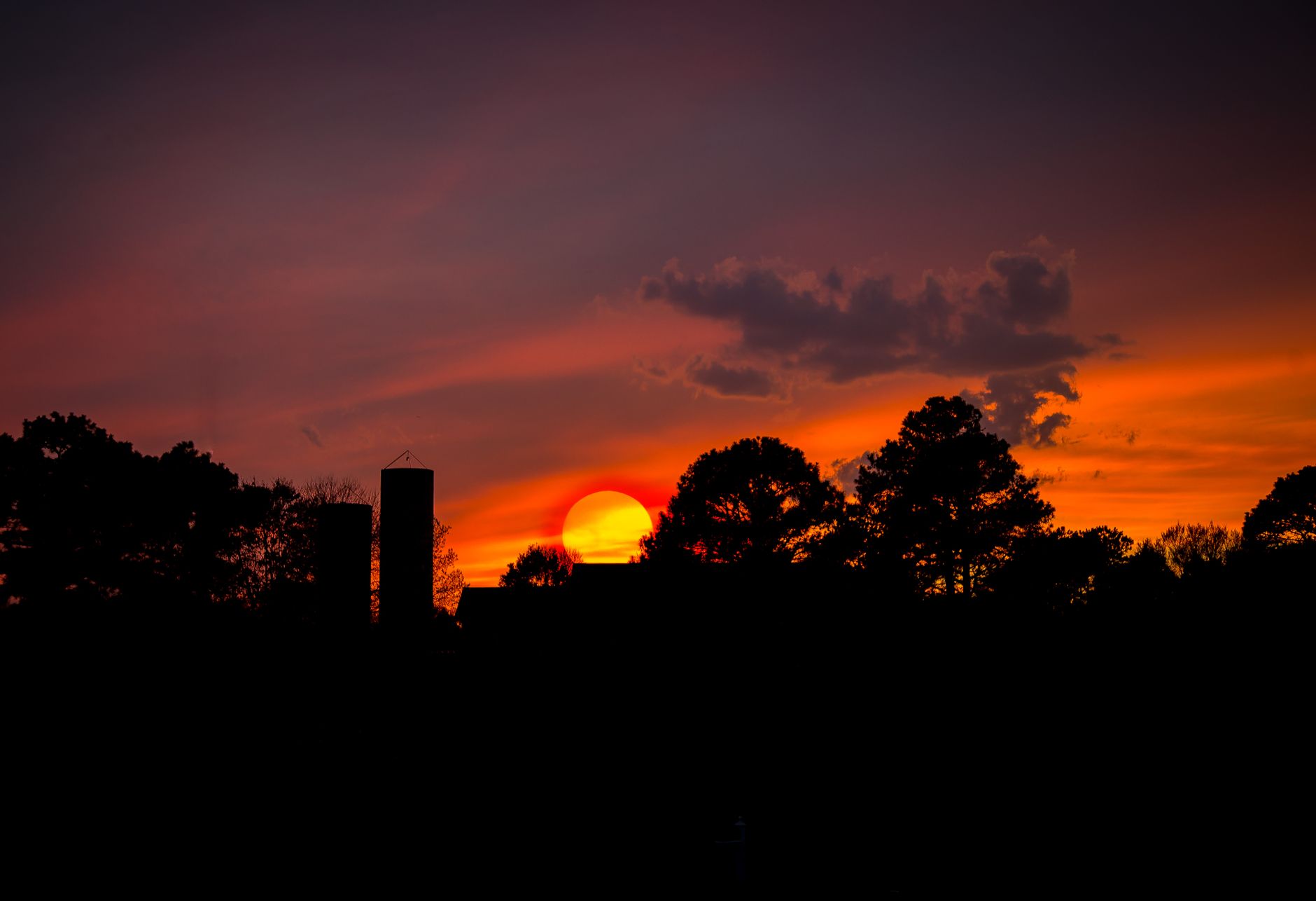 Silhouetted trees against a dramatic sunset in North Carolina's serene landscape.
