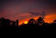 北卡罗来纳州宁静的风景中，树木的轮廓映衬着绚烂的日落