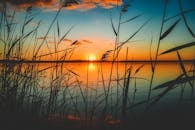 宁静的湖面上，日落景色静谧，芦苇的轮廓映衬着五彩缤纷的天空