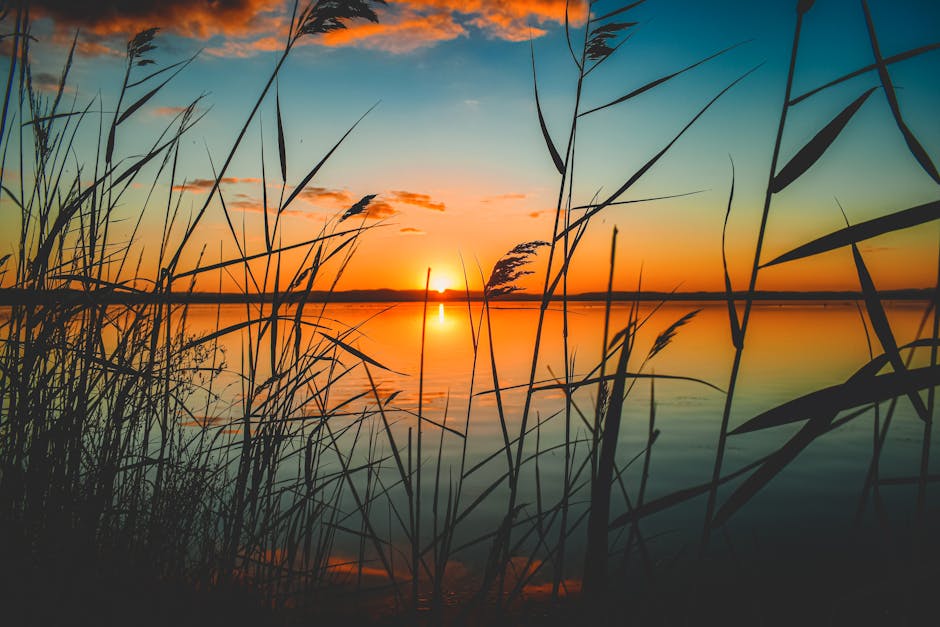 calming landscape - Coping with life transitions