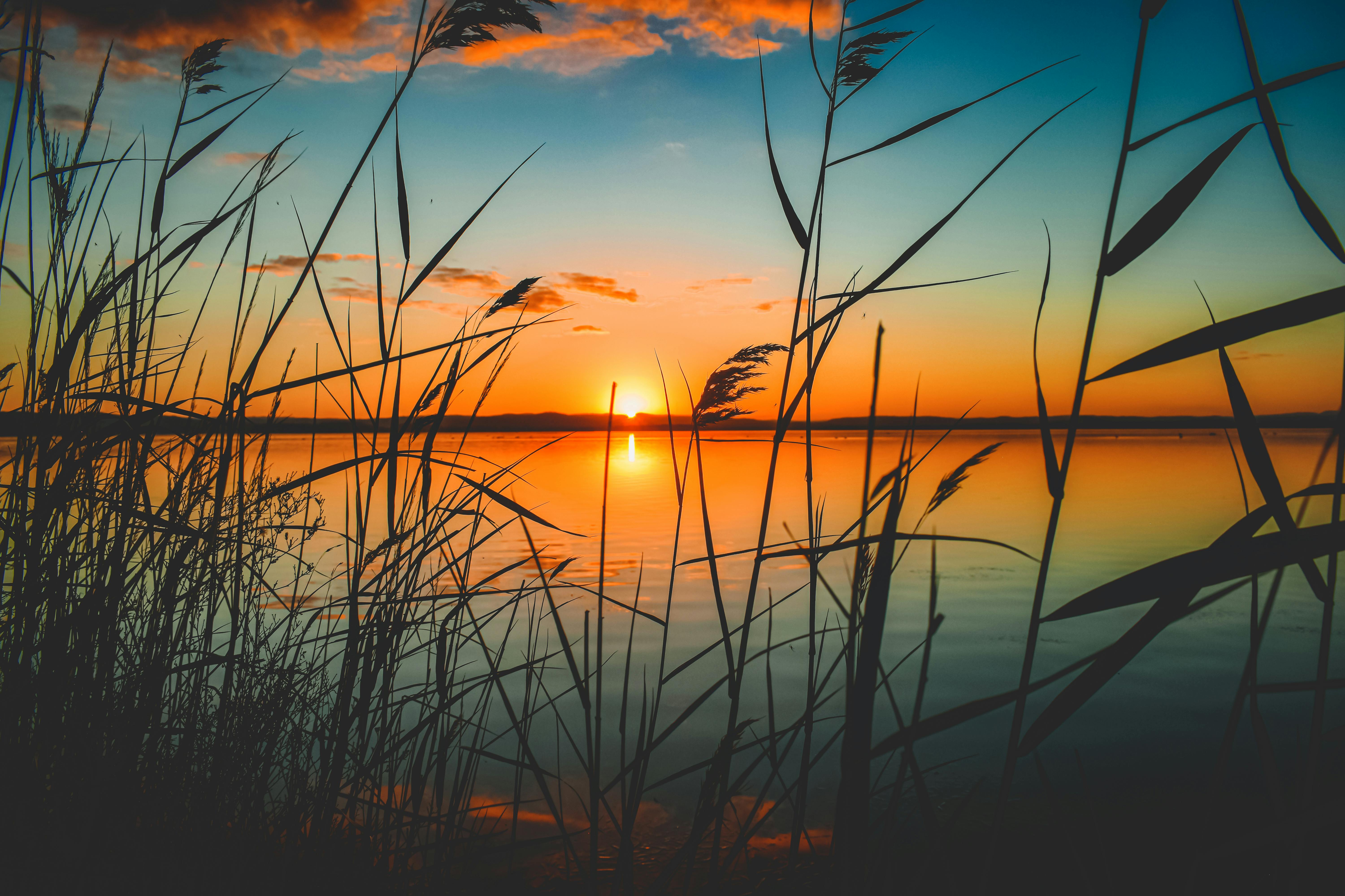 foto-gratuita-di-acqua-acque-calme-alba