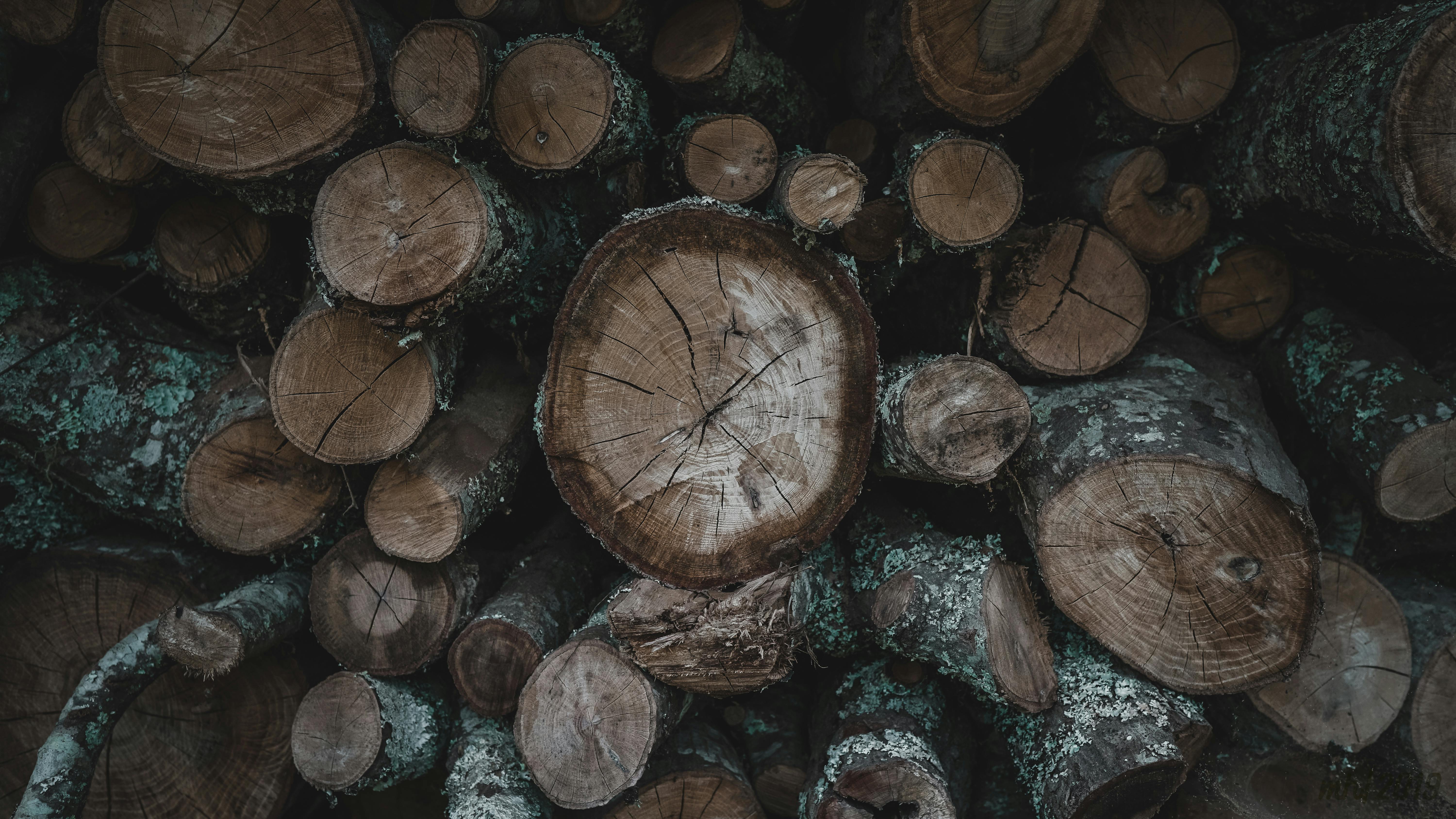 How outdoor recreation is fueling Alabama’s economic engine — Photo by Matt Hatchett on Pexels
