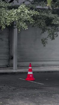 Traffic cone on an empty street in Kozhikode, India, with lush greenery overhead.