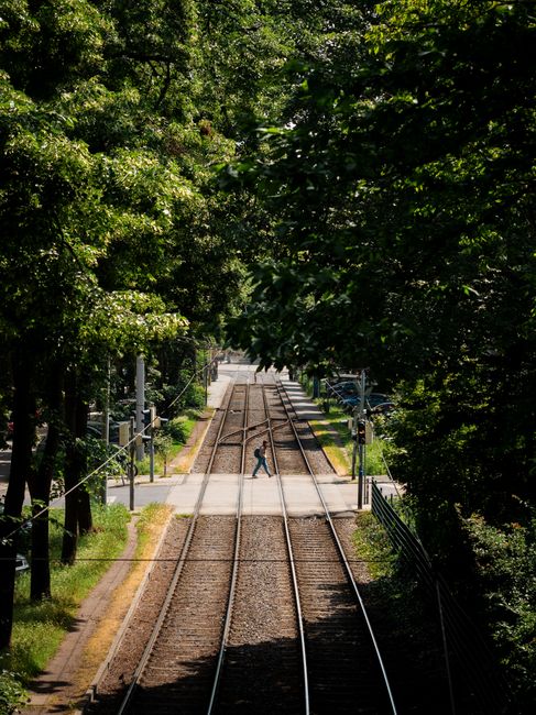 Serene railway tracks surrounded by vibrant green trees in Karlsruhe, perfect for nature and travel themes.