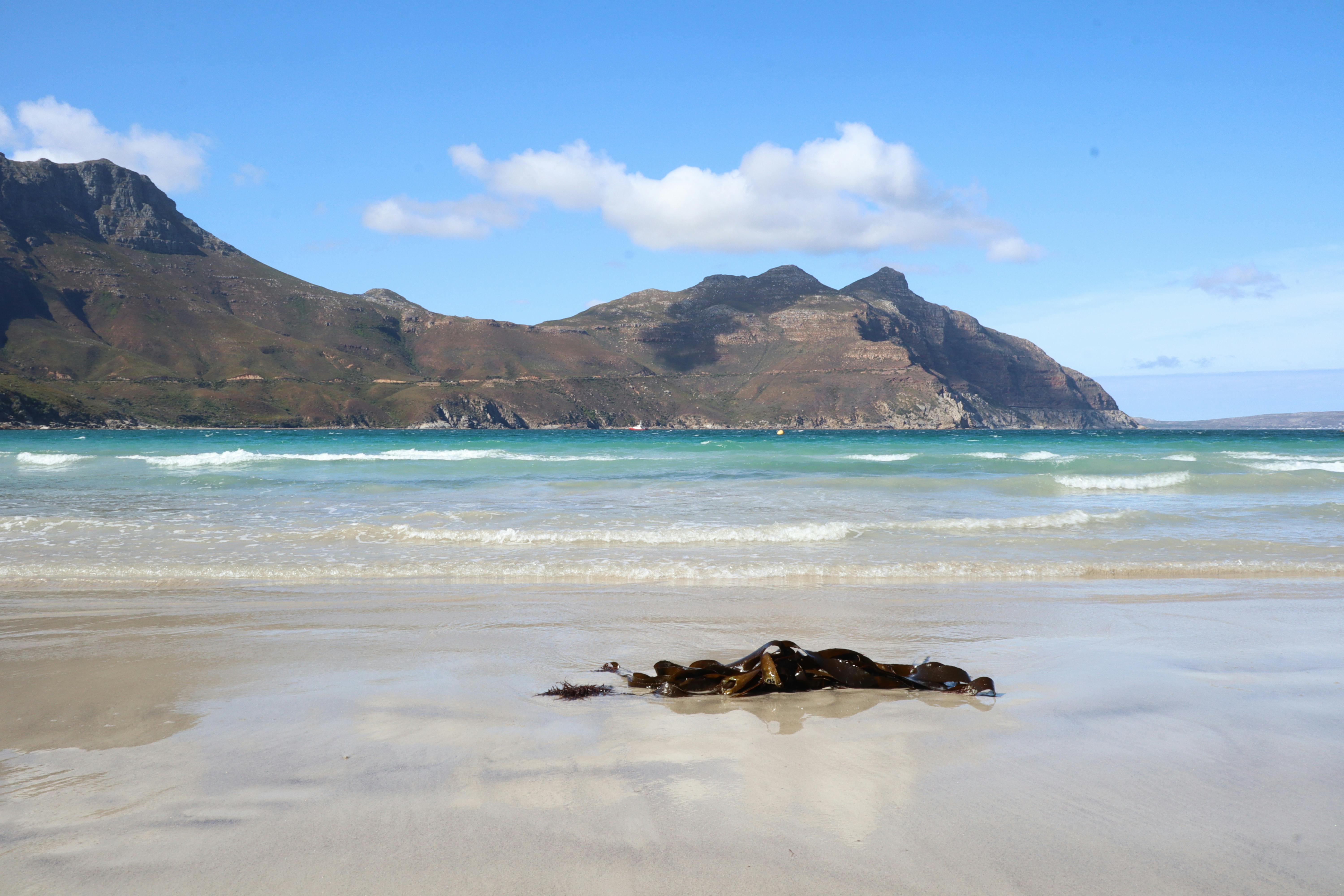 A serene beach scene with gentle waves and distant mountains under a clear blue sky.