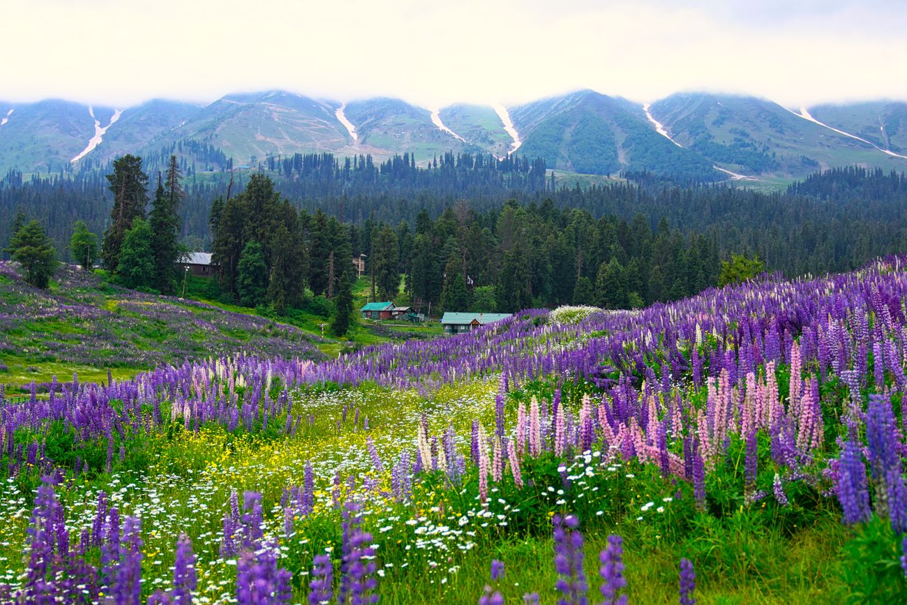 View of Gulmarg — photo 1