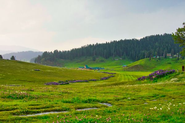 KASHMIR TOURIST PACKAGE - Activity & Sightseeing
