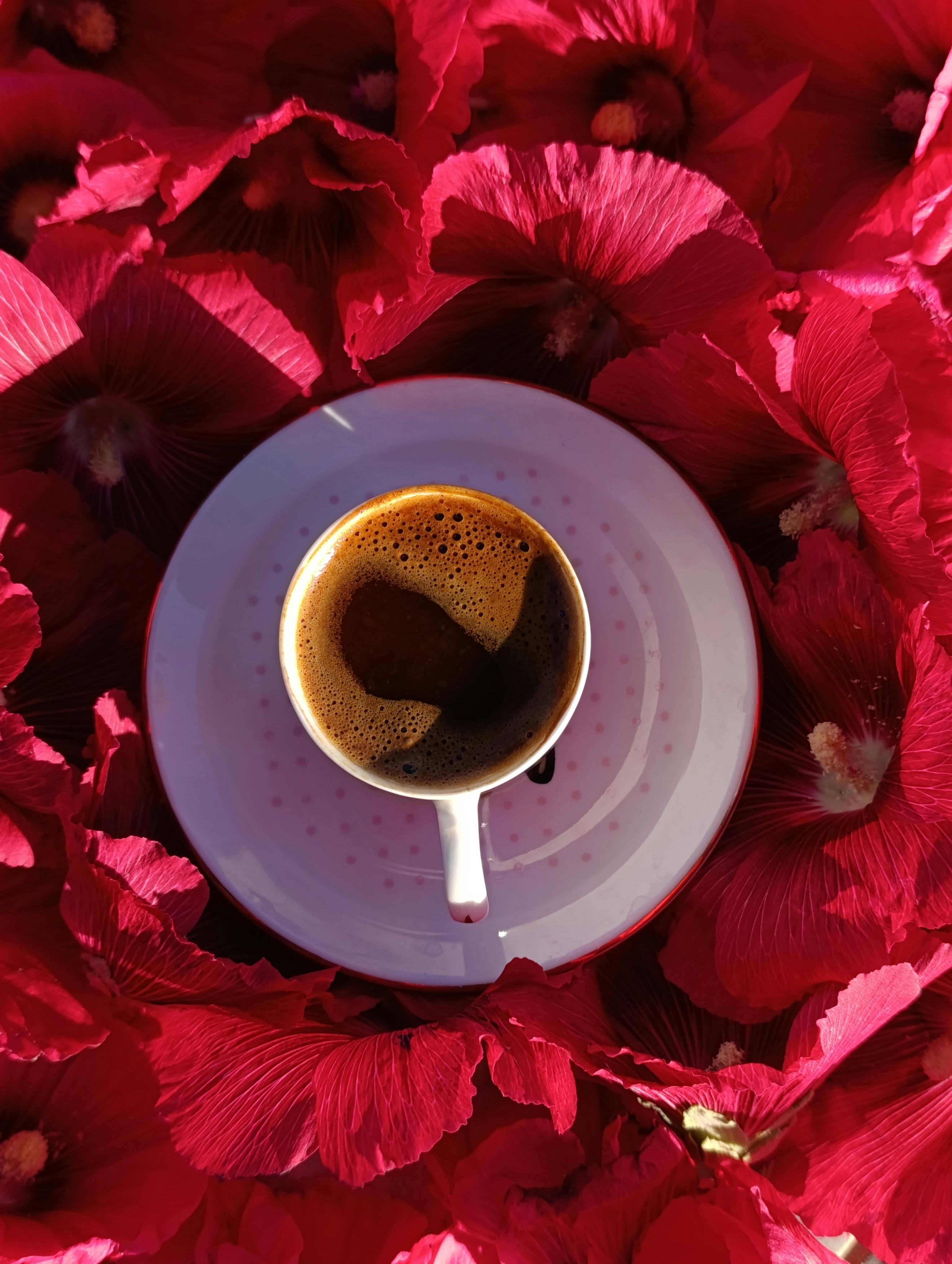 A steaming cup of espresso surrounded by striking red flowers, perfect for coffee and floral enthusiasts.