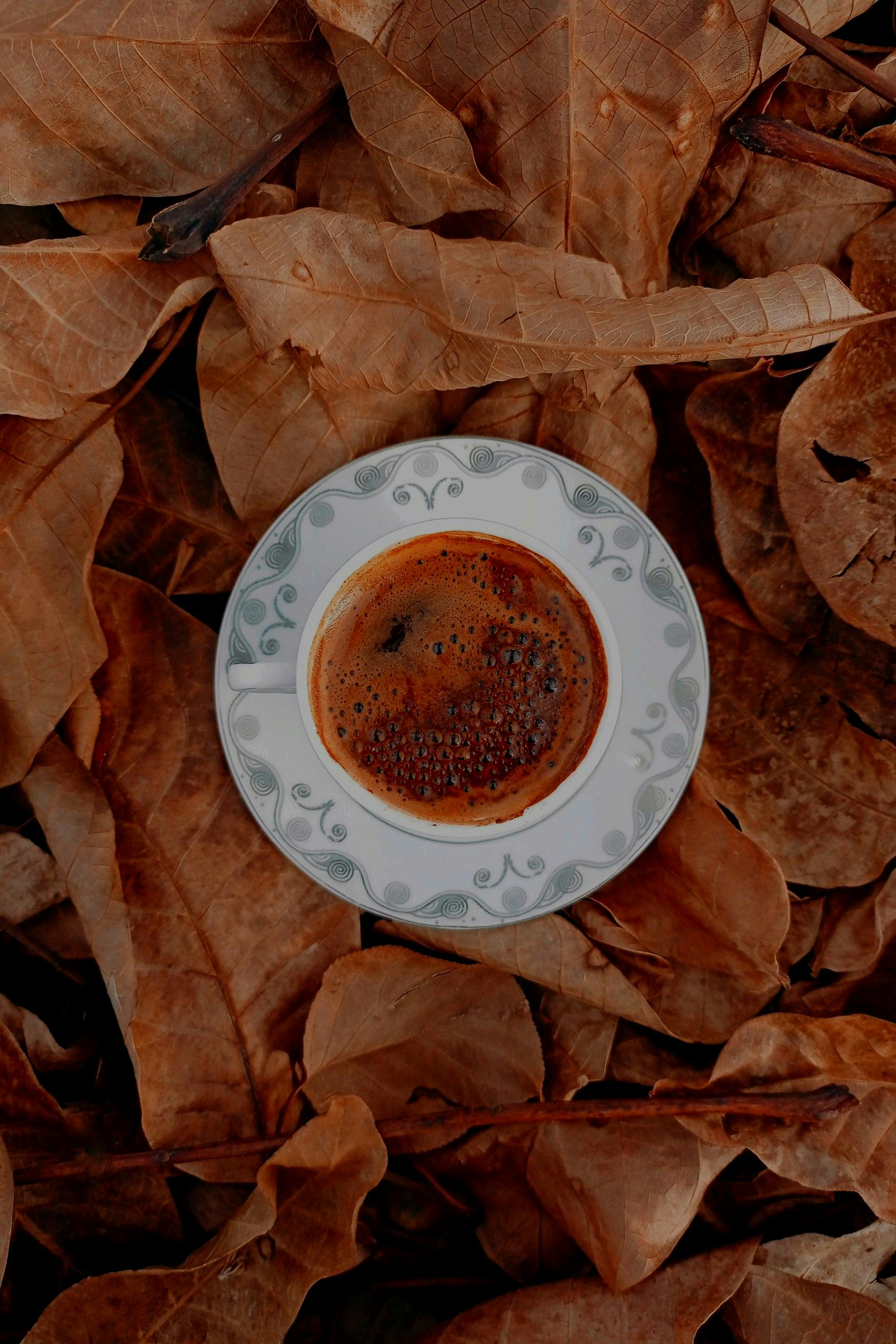 Stylishly shot coffee cup surrounded by autumn leaves evoking seasonal warmth.