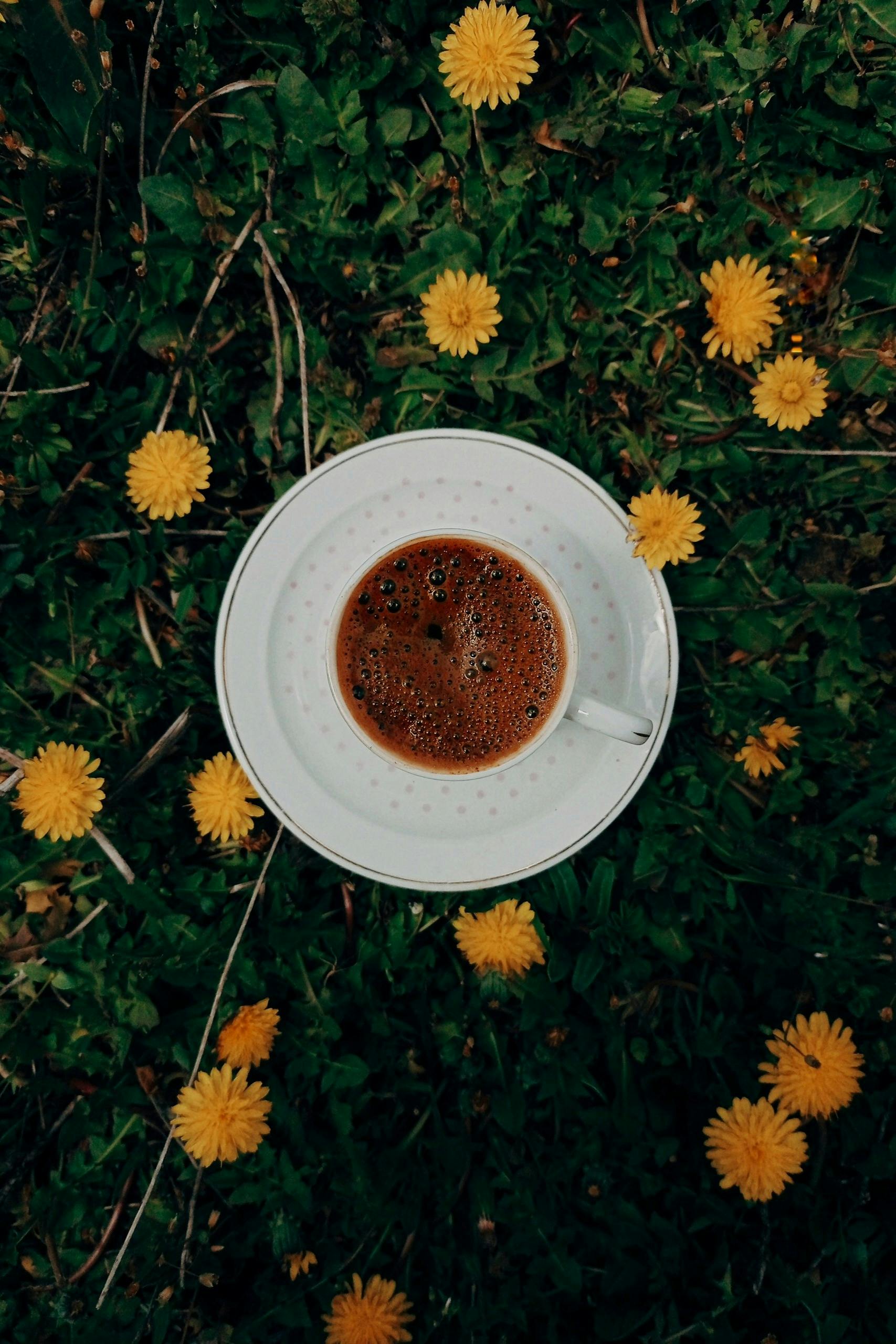 a cup of coffee on top of a grassy field