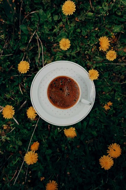 Aerial view of a hot coffee cup surrounded by vibrant dandelions in a grassy garden.