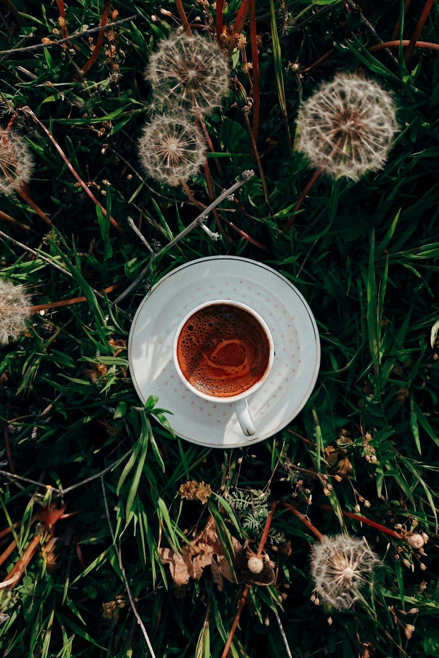 Aerial view of a coffee cup amidst dandelions and green grass, evoking a serene summer morning.