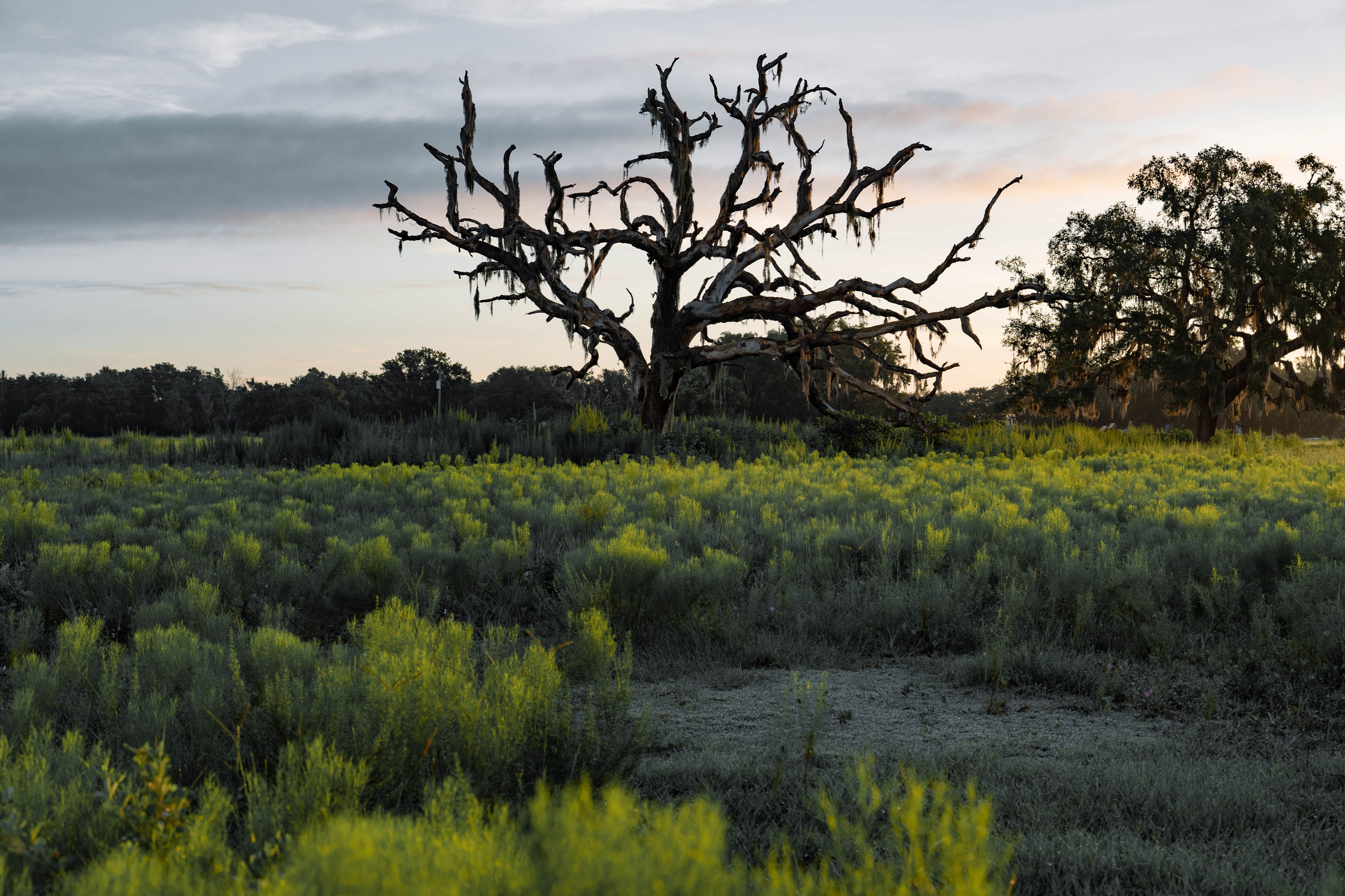 Beyond Retreats 1