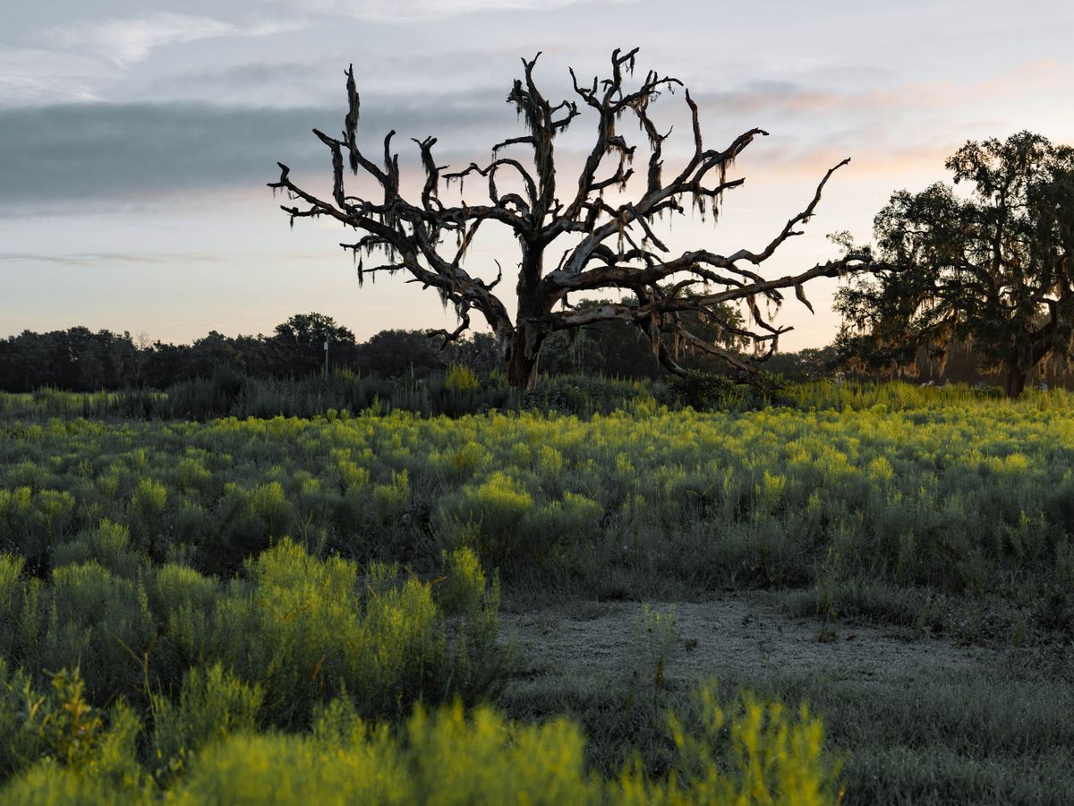 Beyond Retreats 1