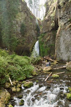 Explore the breathtaking beauty of Wahclella Falls surrounded by lush greenery in Oregon.