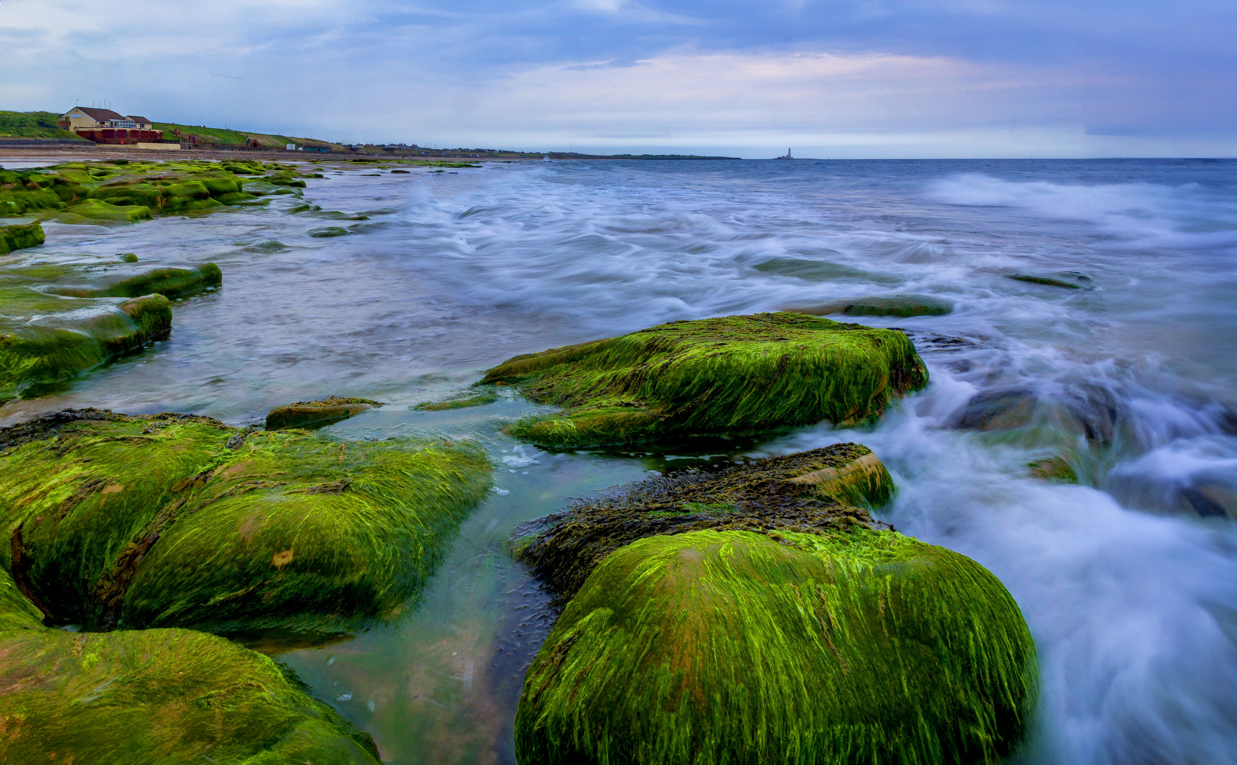 A long exposure photograph of green rocks on the beach · Free Stock Photo