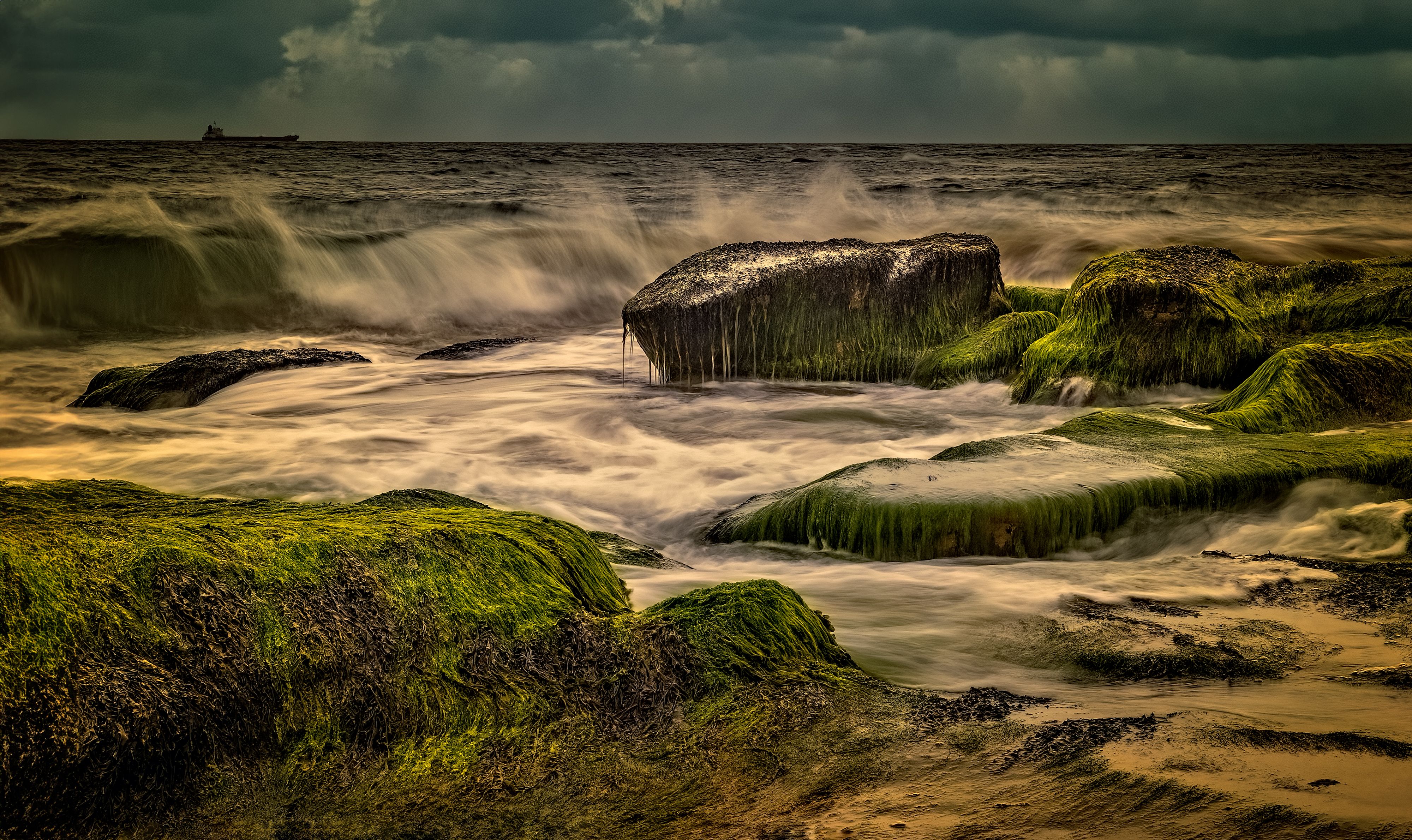 A stormy ocean with green algae on the rocks · Free Stock Photo