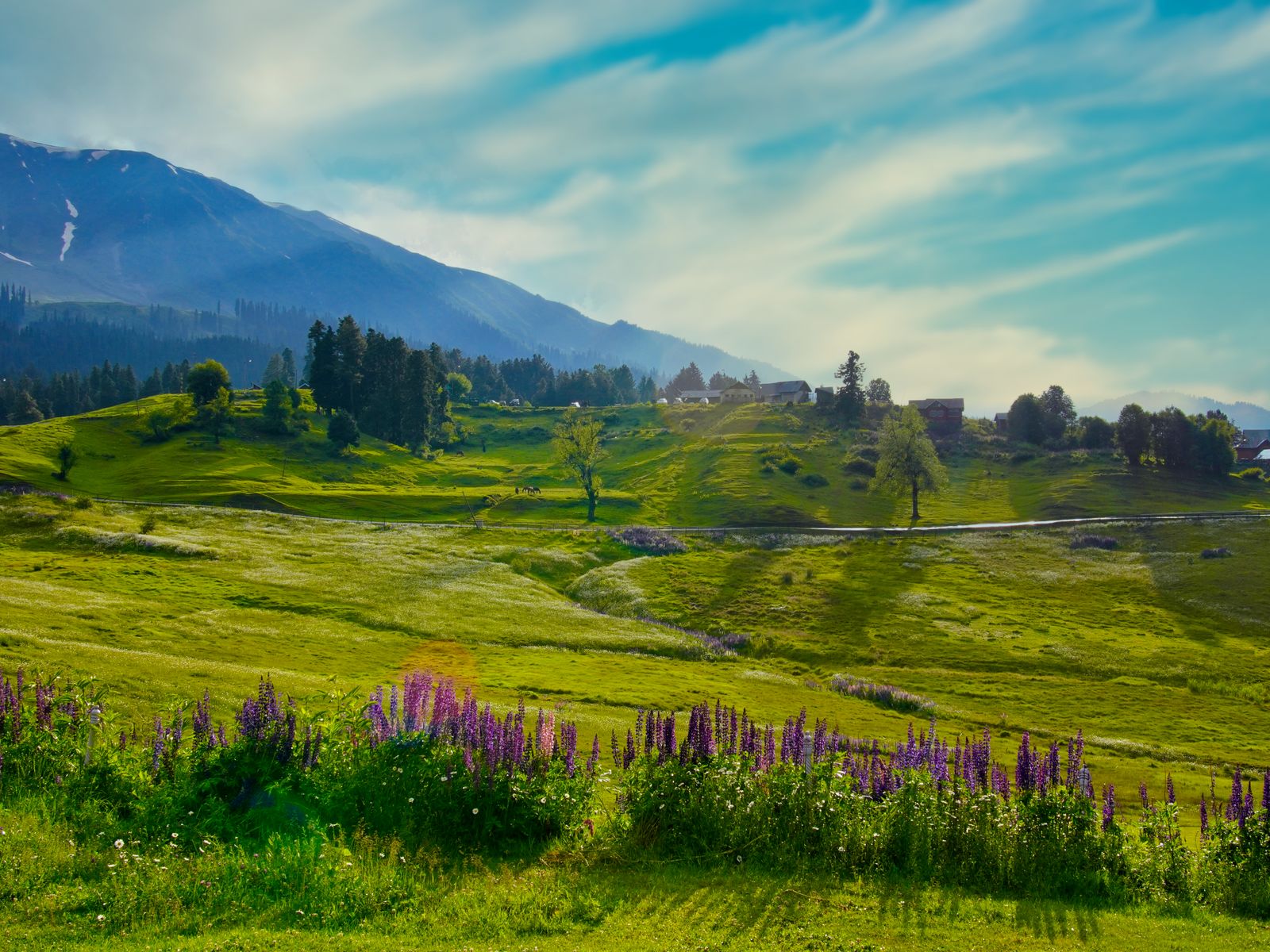 Activities & Tourist Attractions in Gulmarg