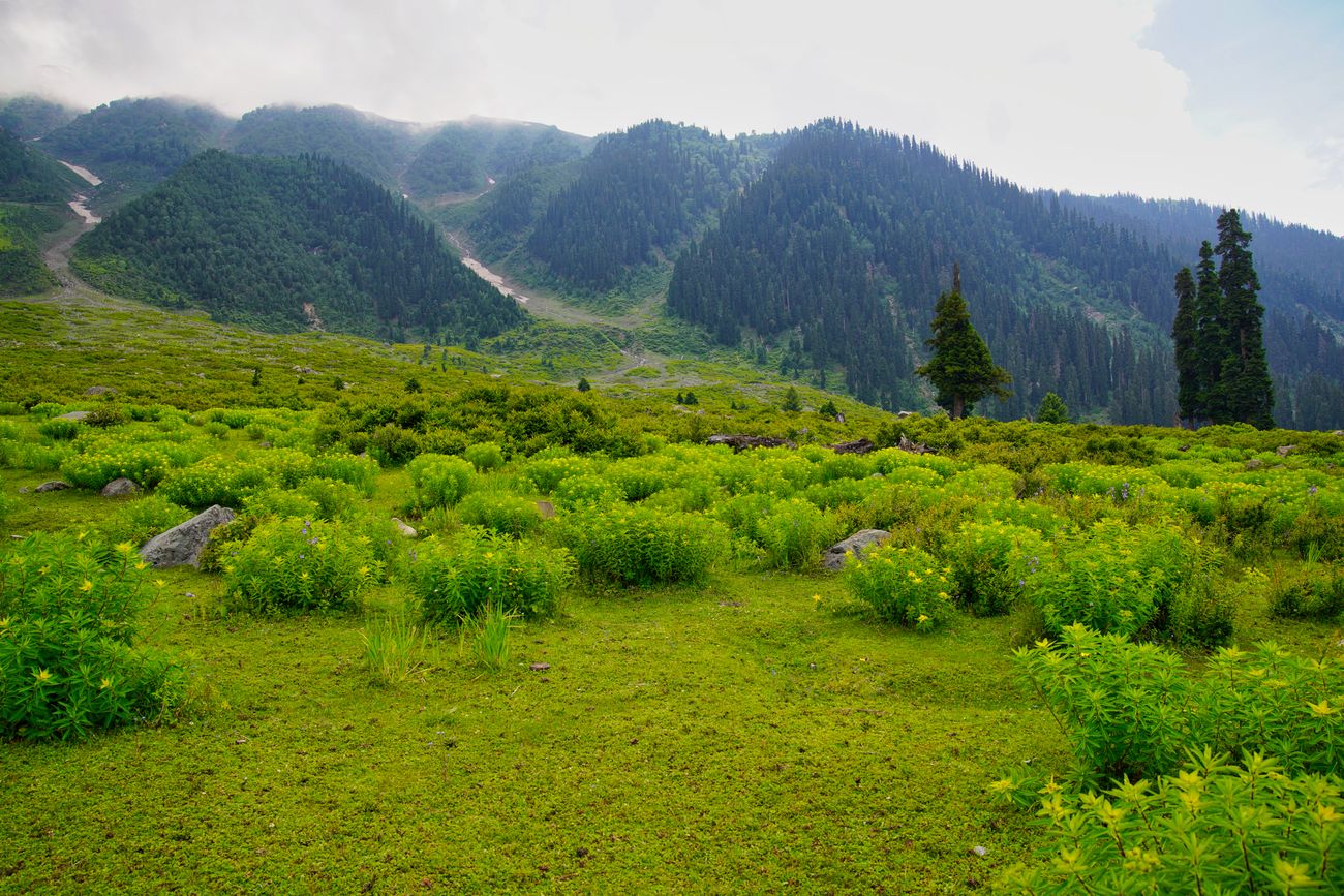 View of Yusmarg — photo 2