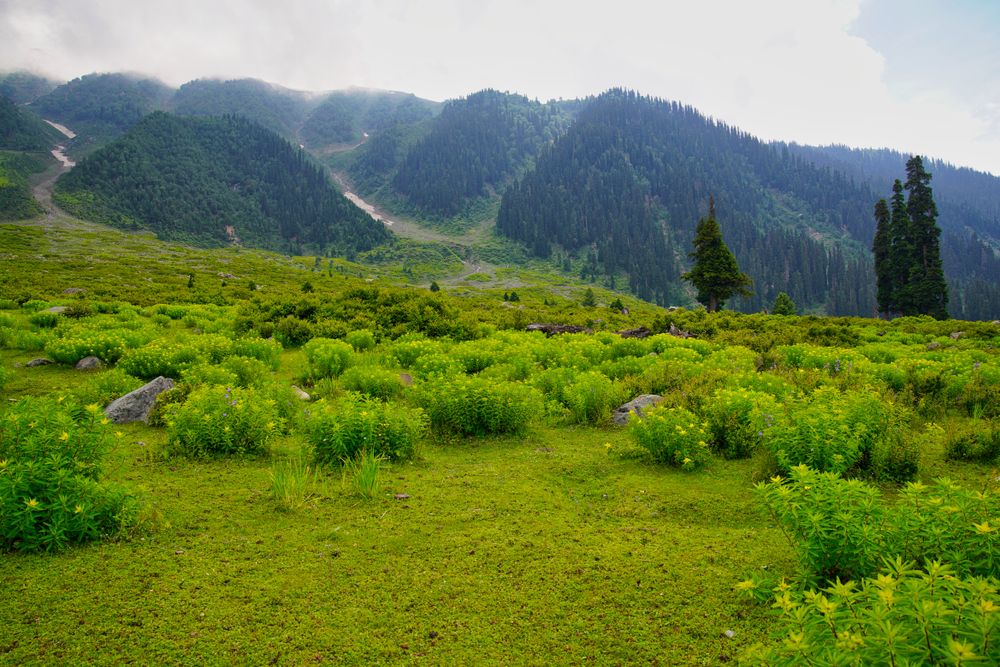Itinerary photo 2