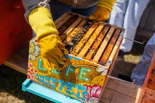 Коричневый деревянный ящик с пчелами