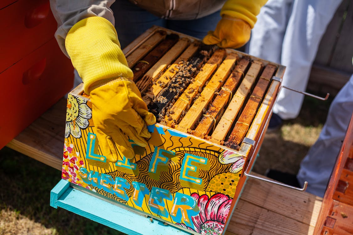 Free Brown Wooden Crate With Bees Stock Photo