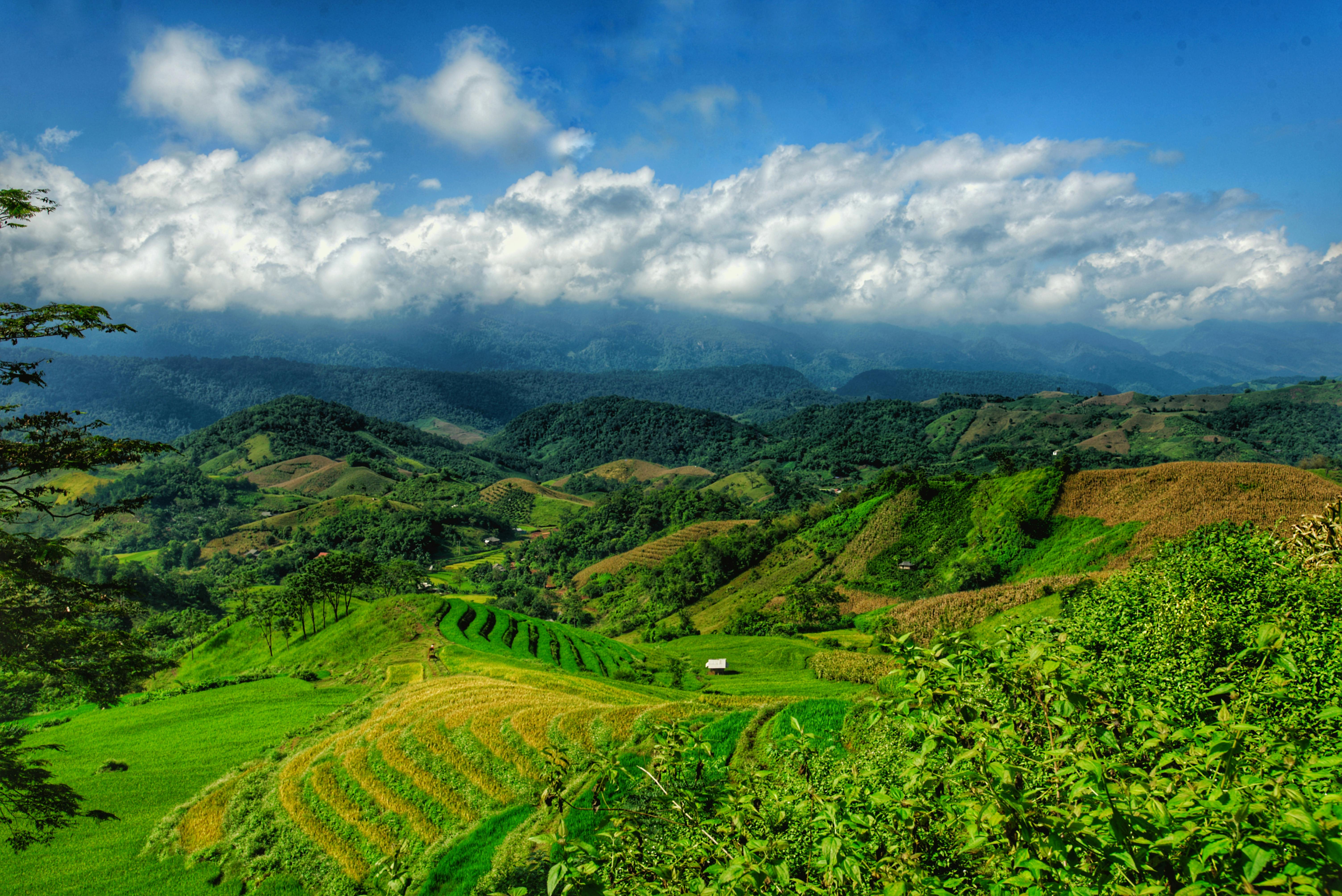 Miễn phí Ảnh lưu trữ miễn phí về bầu trời, cánh đồng, cánh đồng lúa Ảnh lưu trữ