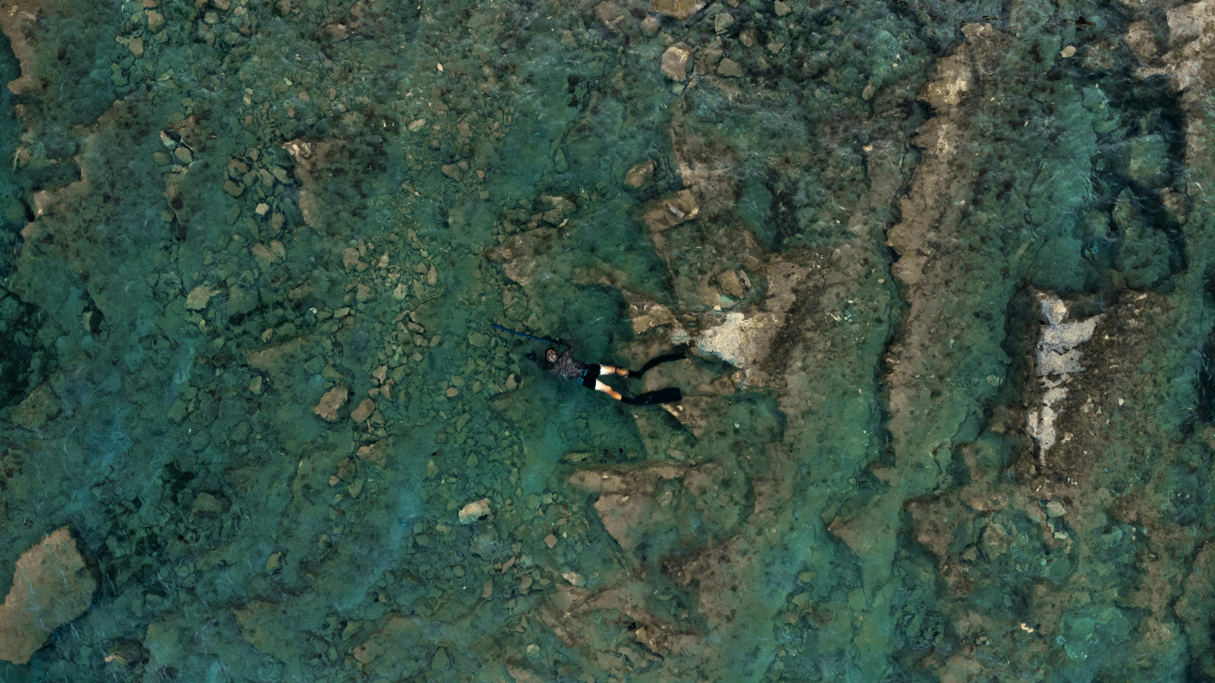Free A diver swims over a rocky seabed in clear blue waters, captured from above. Stock Photo