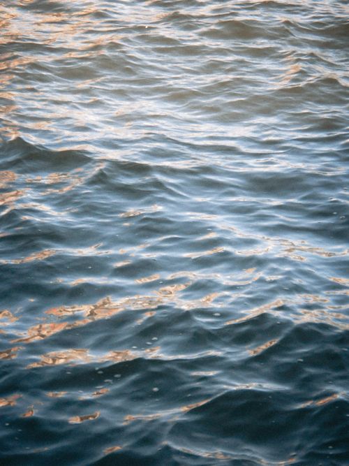 Free A serene view of ocean water reflecting golden sunlight, creating a peaceful atmosphere. Stock Photo