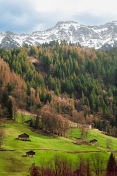 Breathtaking view of Lauterbrunnen valley with snow-capped Swiss Alps, lush greenery, and rustic cabins.